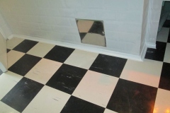 Greenhills-Killarney-114