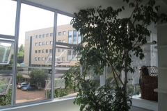 Hatherley-Court-Killarney-10
