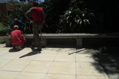 Mopani-St-Randpark05
